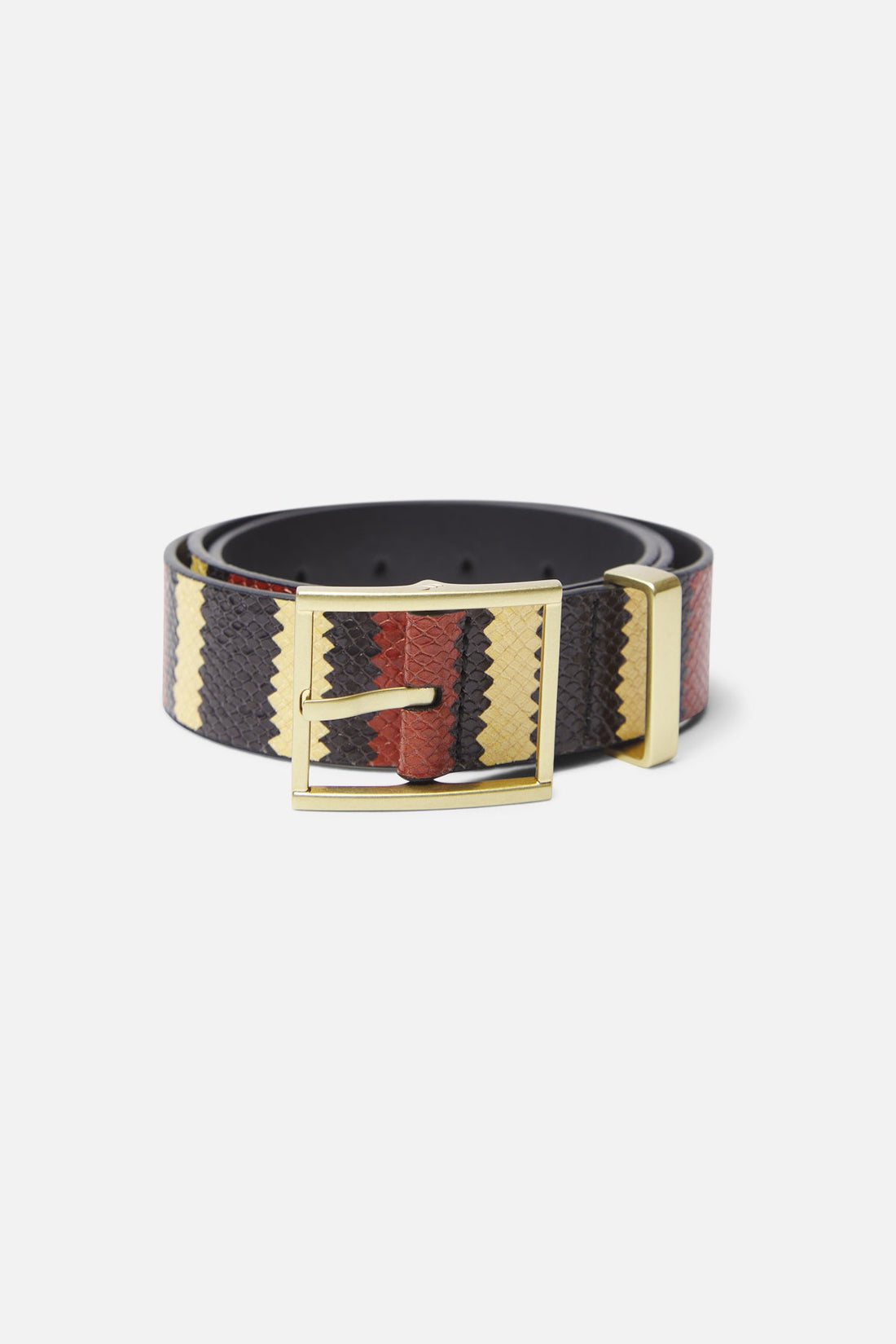 King Snake Red Belt